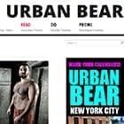 Der urbane Bär