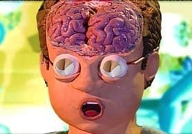 El efecto de la pornografía en el cerebro
