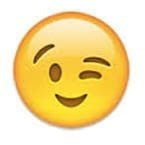 WinkyJpeg