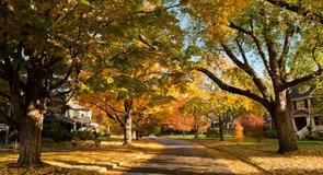 1. Newton, Massachusetts 43,986 solteros
