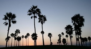 Venice Beach, Kalifornie