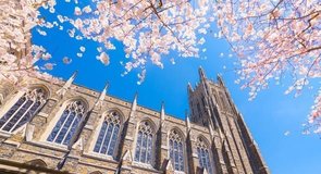 université de Duke