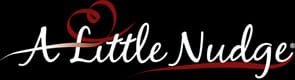 Foto van het A Little Nudge-logo