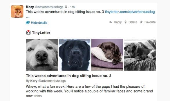 Captura de pantalla de una publicación de Twitter de TinyLetter