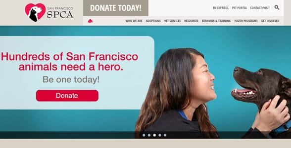 Screenshot der Homepage von SF SPCA
