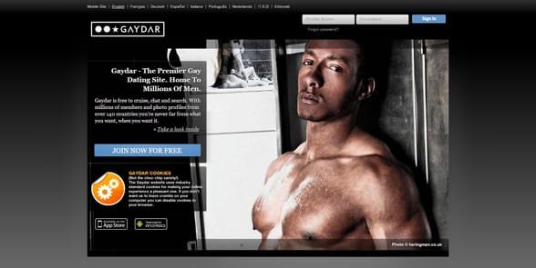 Screenshot van de Gaydar-homepage