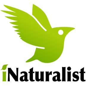 Photo du logo iNaturalist