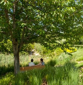 Foto eines Paares, das Red Butte Garden besucht