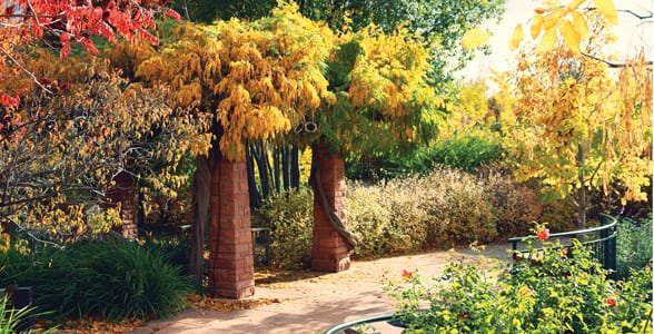 Foto von Red Butte Garden im Herbst
