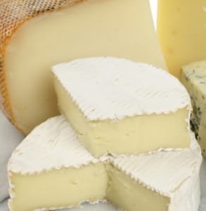 Foto von Igourmet-Käse
