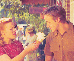 GIF van de ijsscène uit The Notebook