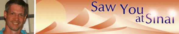 Collage du portrait de Marc Goldmann et du logo SawYouAtSinai