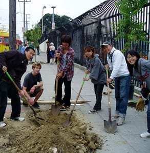 Foto di un evento di piantagione di alberi di Friends of the Urban Forest nell'agosto 2006