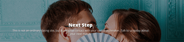 Capture d'écran de la page Perfect Partners Next Step