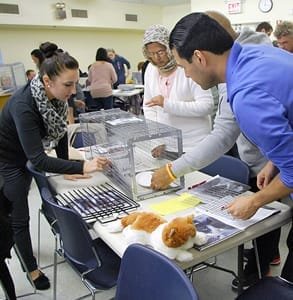 Foto van een workshop georganiseerd door het Feral Cat Initiative