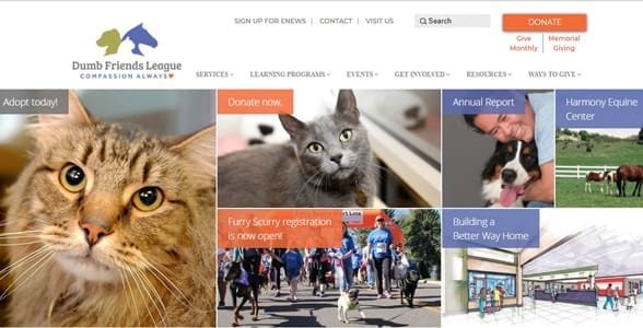 Zrzut ekranu strony głównej Dumb Friends League