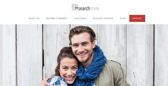 Capture d'écran de la page d'accueil de Searchmate