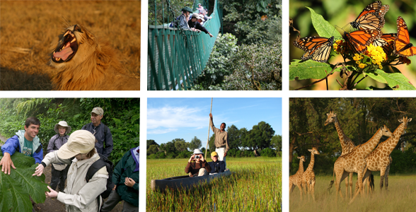 Collage de photos de voyages Natural Habitat Adventure en Afrique, au Costa Rica et au Mexique