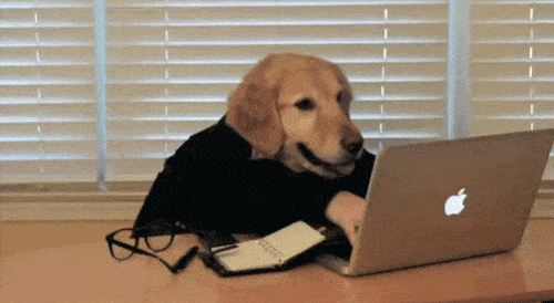 GIF van een hond die aan het typen is