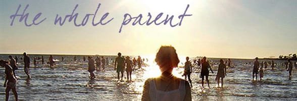 Foto dal sito Web Whole Parent Book
