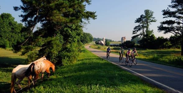 Foto von Radfahrern in Chapel Hill
