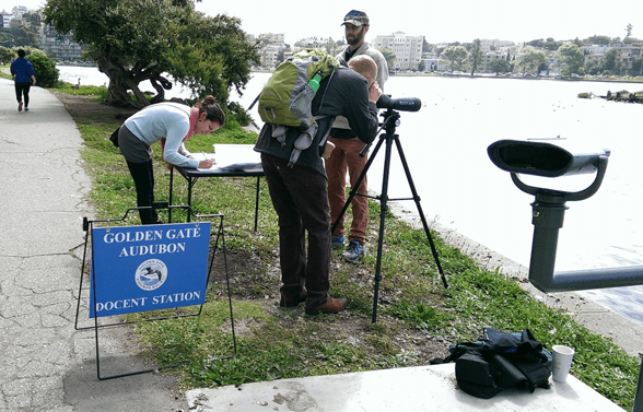 Photo d'un docent de la Golden Gate Audubon Society