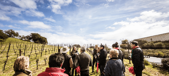 Photo d'une excursion Extranomical Tours au pays du vin