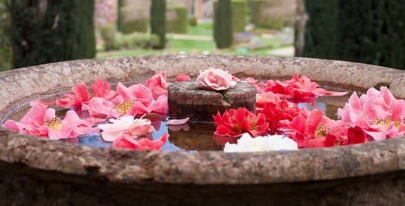 Foto eines Marmorbrunnens bei Filoli