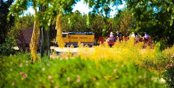 Schenepf Çiftlikleri'ndeki trenin fotoğrafı