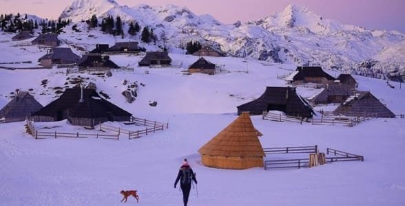 Velika Planina'nın fotoğrafı