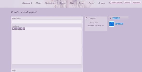 Capture d'écran du blog utilisateur de SeekingSugarMummy