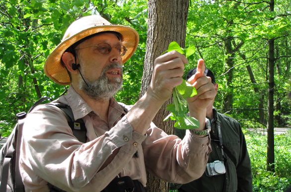 Foto von Wildman Steve Brill beim Pflanzenvergleich