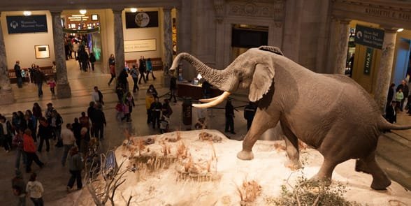 Foto di un museo