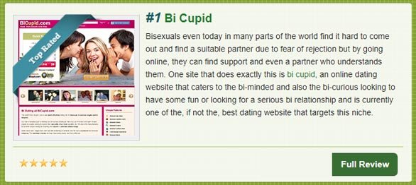 Screenshot der Top10BiDatingSites.com-Kurzübersicht