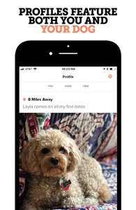 Capture d'écran de l'application Dig