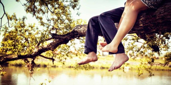 Photo d'un couple assis dans un arbre