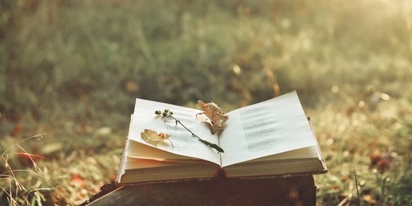 Foto von Blumen auf einem Buch