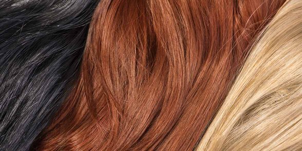 Foto van verschillende haarkleuren
