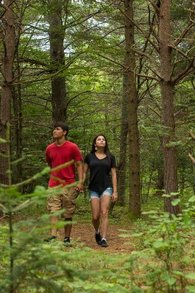Foto de un sendero para caminar en iForest