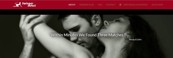 Screenshot von Swinger-Safari