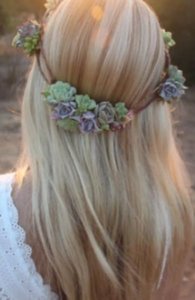 Photo d'une couronne succulente