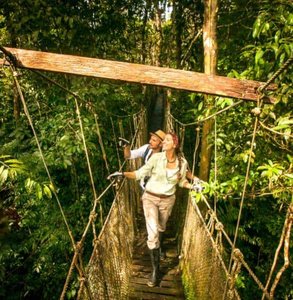 Foto eines Paares im Amazonas